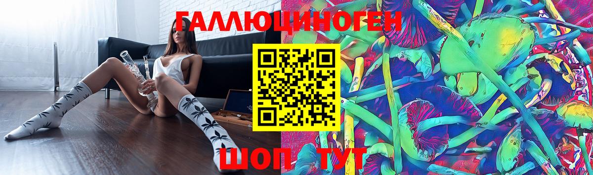 Псилоцибиновые грибы Psilocybine cubensis Кудымкар